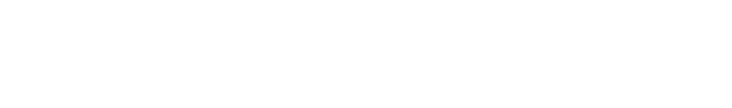 Steady Darling logo